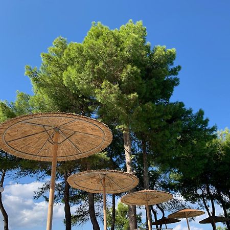 Celia Apartments Vasilikos  Luaran gambar
